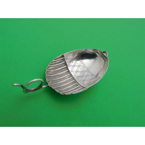 Acorn silver caddy Spoon Birmingham 1812 Joseph Taylor
