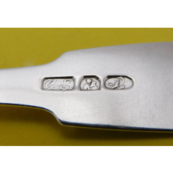 Banff silver toddy ladle by George Elder v2