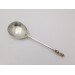 Barnstaple silver lion sejant spoon Thomas Matthew