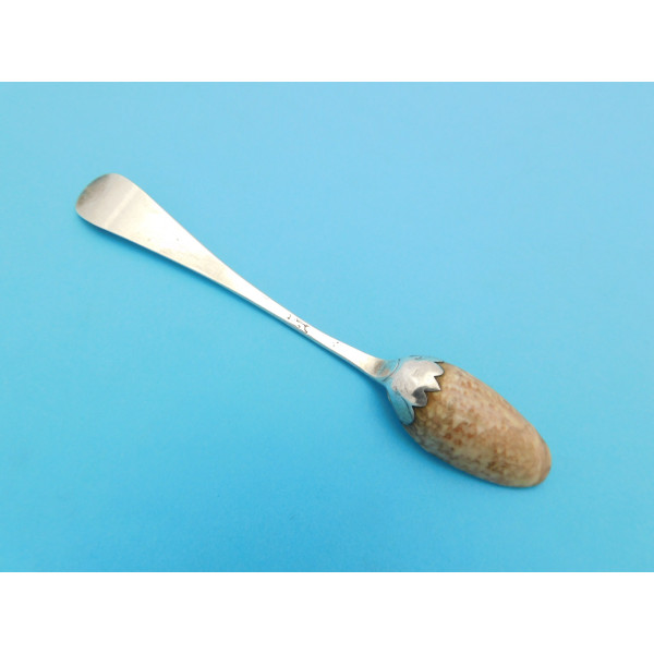 Cowrie bowl silver teaspoon