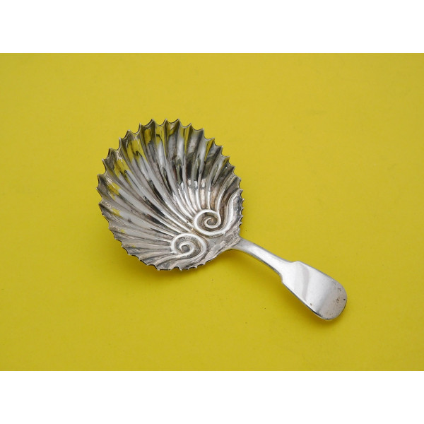 Dundee silver caddy spoon by James Douglas