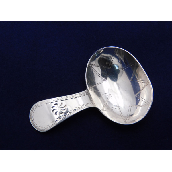 Exeter silver caddy spoon Parsons Crees 1800