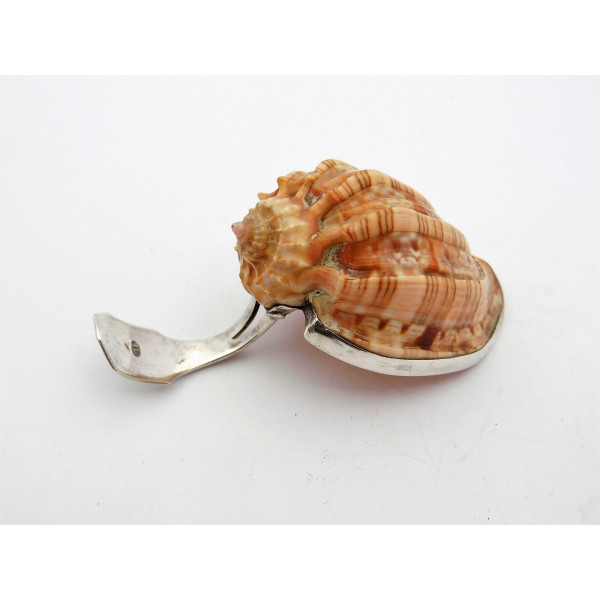 Georgian silver whelk shell caddy spoon by Matthew Linwood