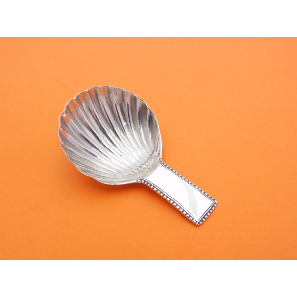 Inverness silver caddy spoon by Robert Naughten