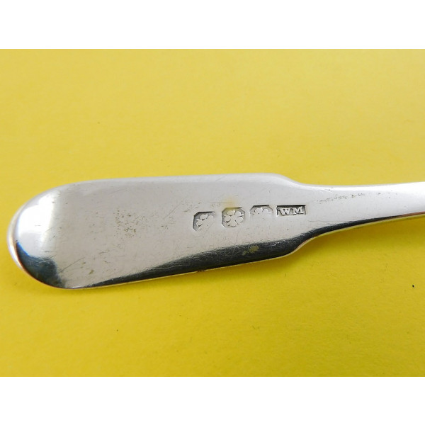 Montrose silver teaspoon by William Mill v2