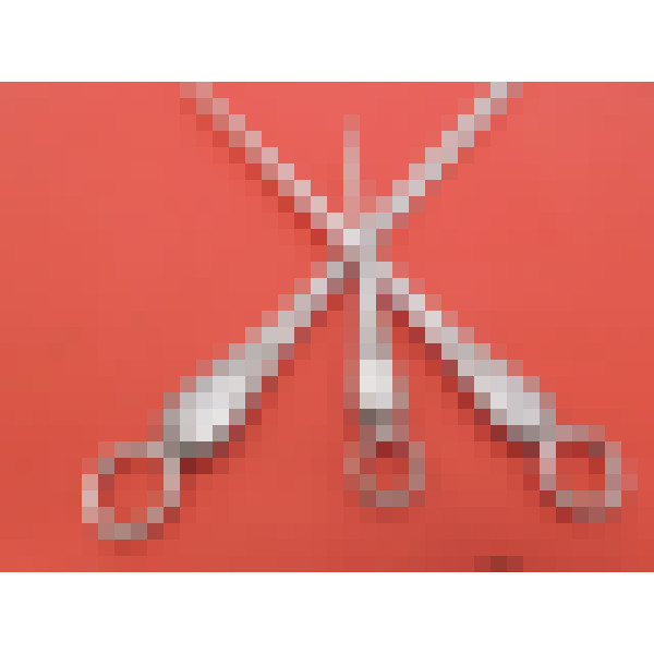 Paxton Pattern silver skewers by George Adams