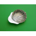 Scallop shell silver caddy spoon by Francis Higgins