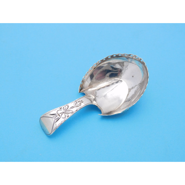 Silver pastern hoof caddy spoon CB 1809