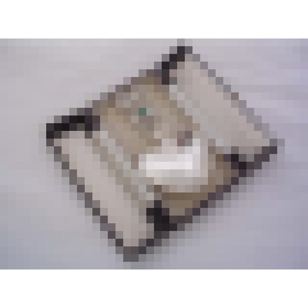 dscn1059 1