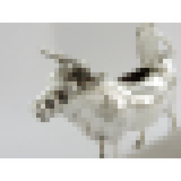 dscn1286 2