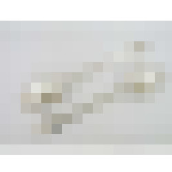 dscn1287 1