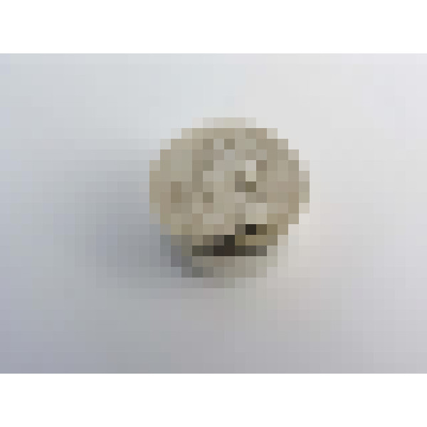 dscn1966 2
