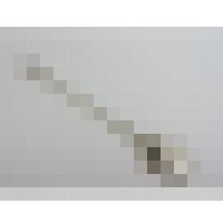 dscn1984 3