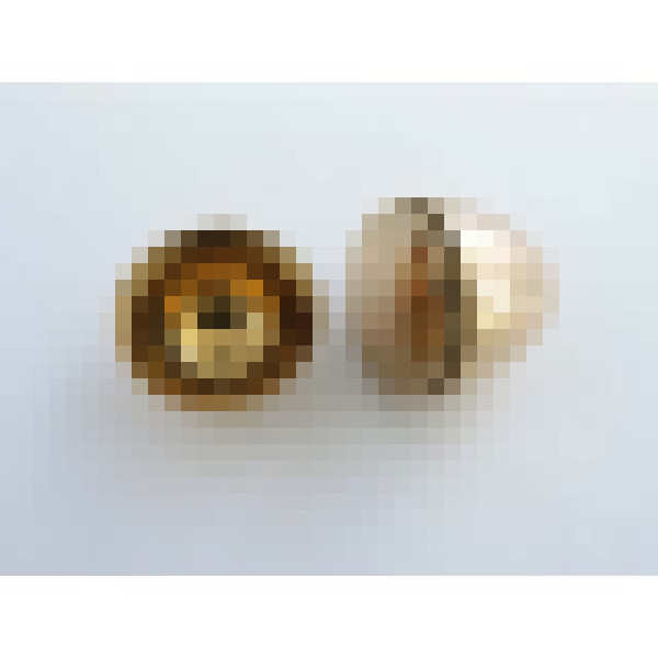 dscn2218 2