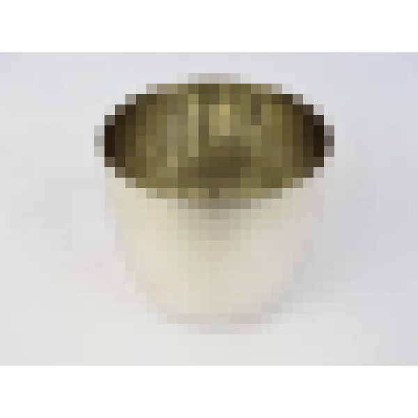 dscn3141 1