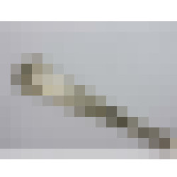 dscn3286