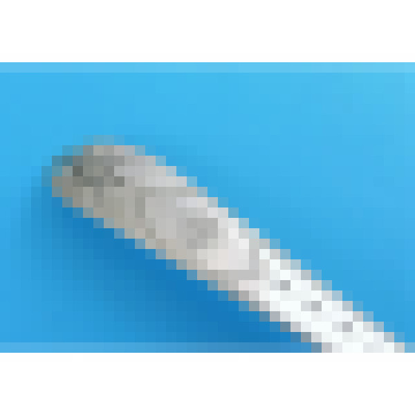 dscn3485 1