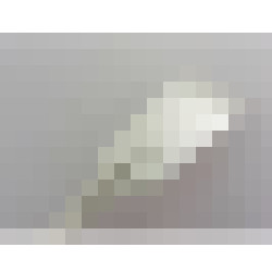 dscn3576 3