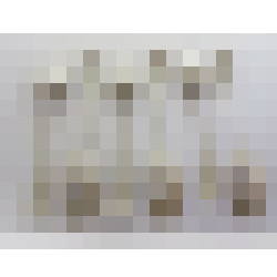 dscn3694