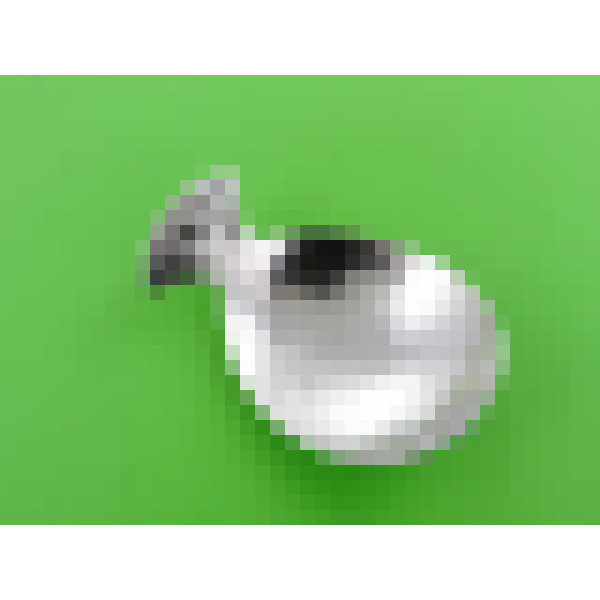 dscn3809 2