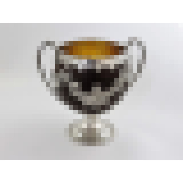 dscn3992 2