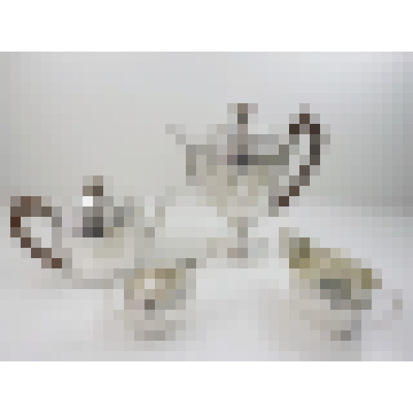 dscn4300
