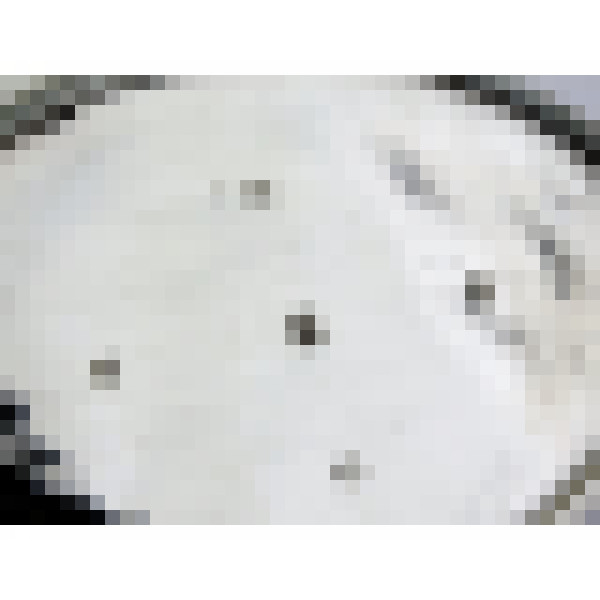 dscn4313 1