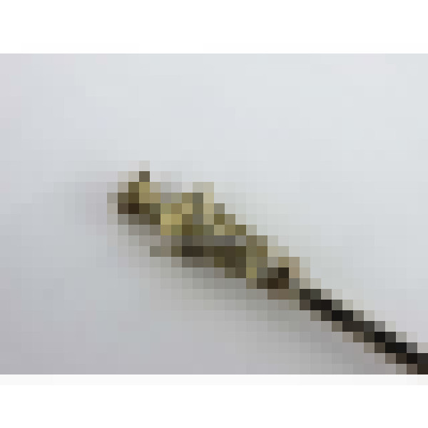 dscn4362 1