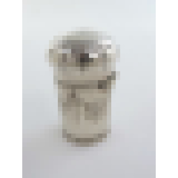 dscn4425 2