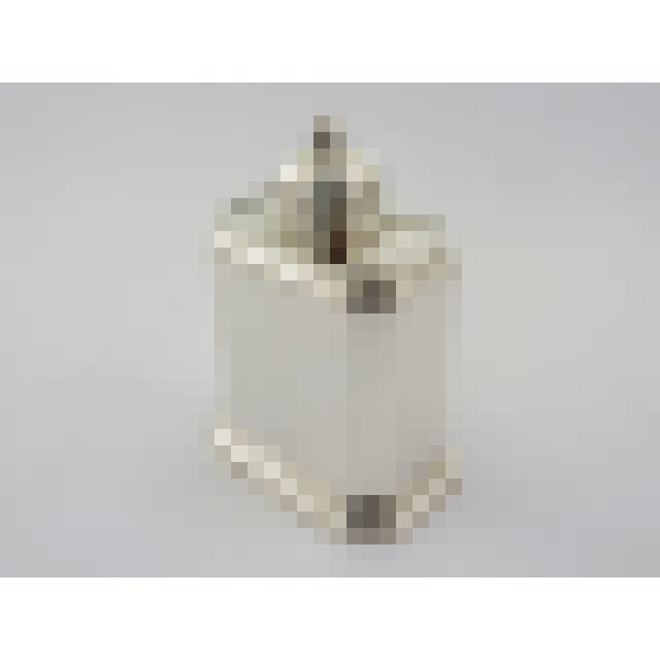 dscn4497 1