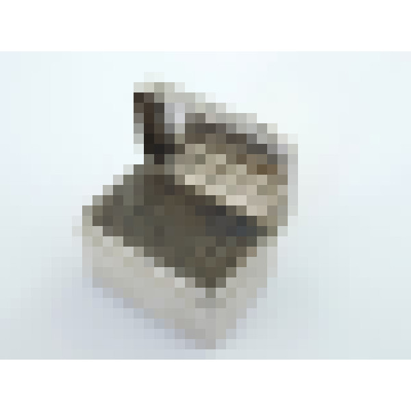 dscn4594 1
