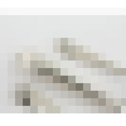 dscn4770