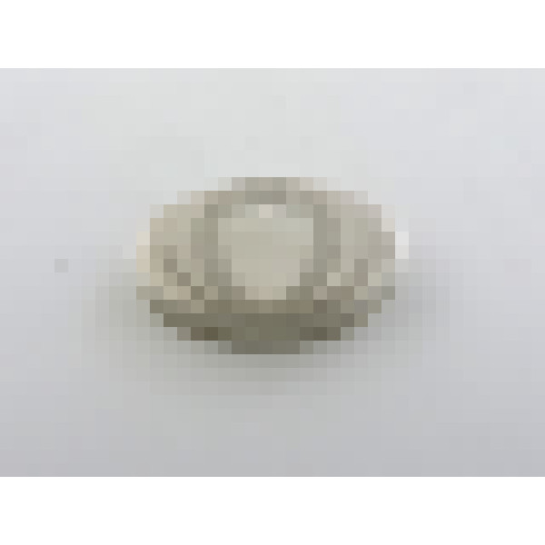 dscn4884 1