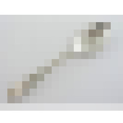 dscn4895 2