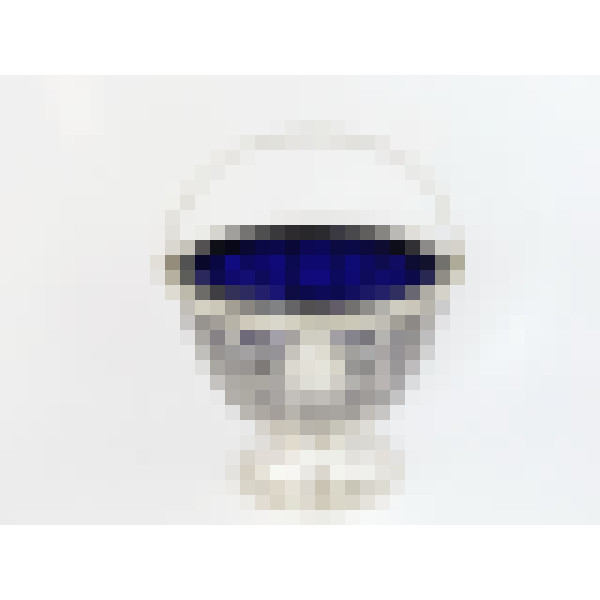 dscn5005