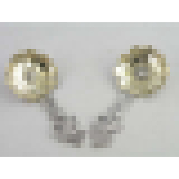 dscn5040 1 1