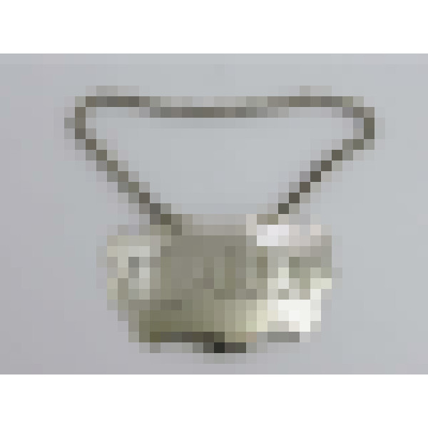 dscn5203 1
