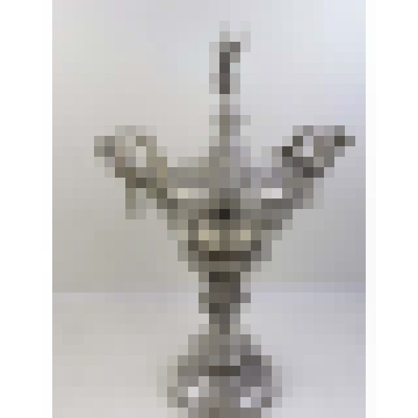 dscn5204 1