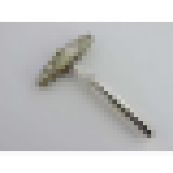 dscn5208 2