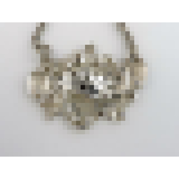 dscn5278 2
