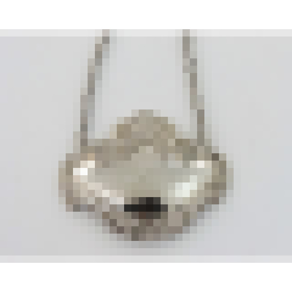dscn5374 1