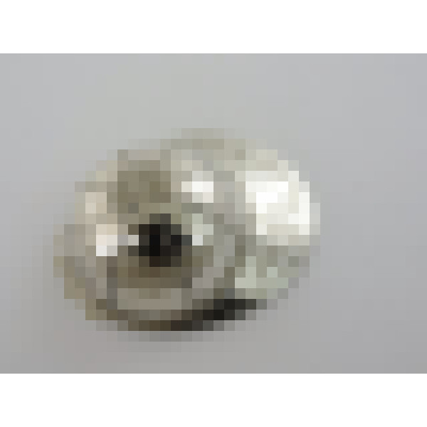 dscn5389 2