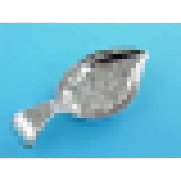 dscn5405 1