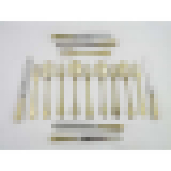 dscn5515 1