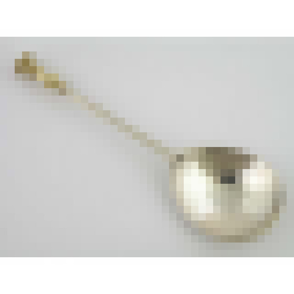 dscn5651