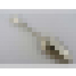 dscn6458
