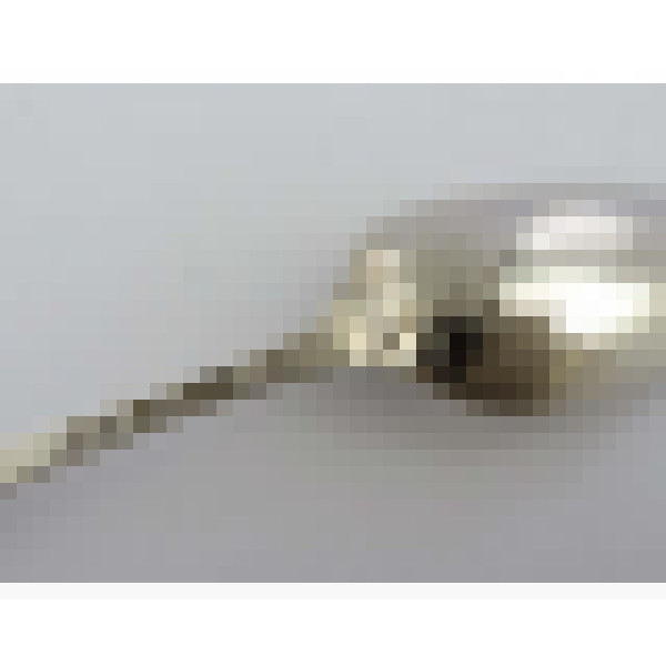 dscn6461 1