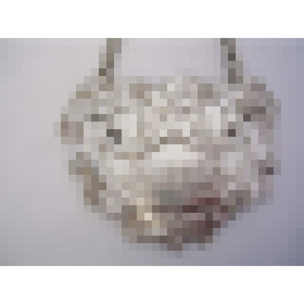 dscn6896 1