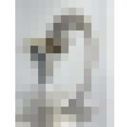 dscn7327
