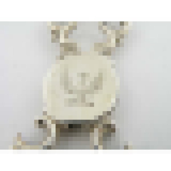 dscn7667 1